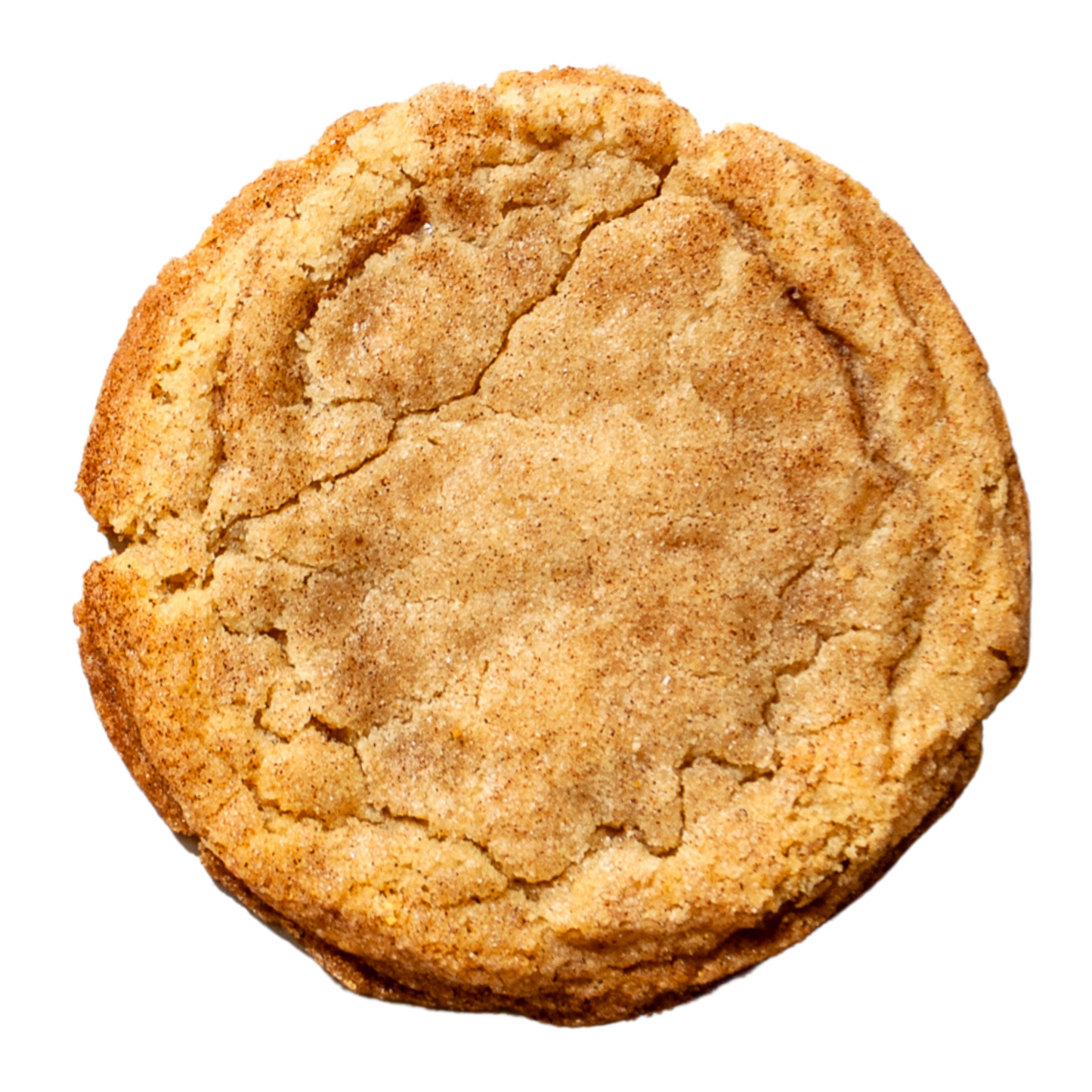 Snickerdoodle