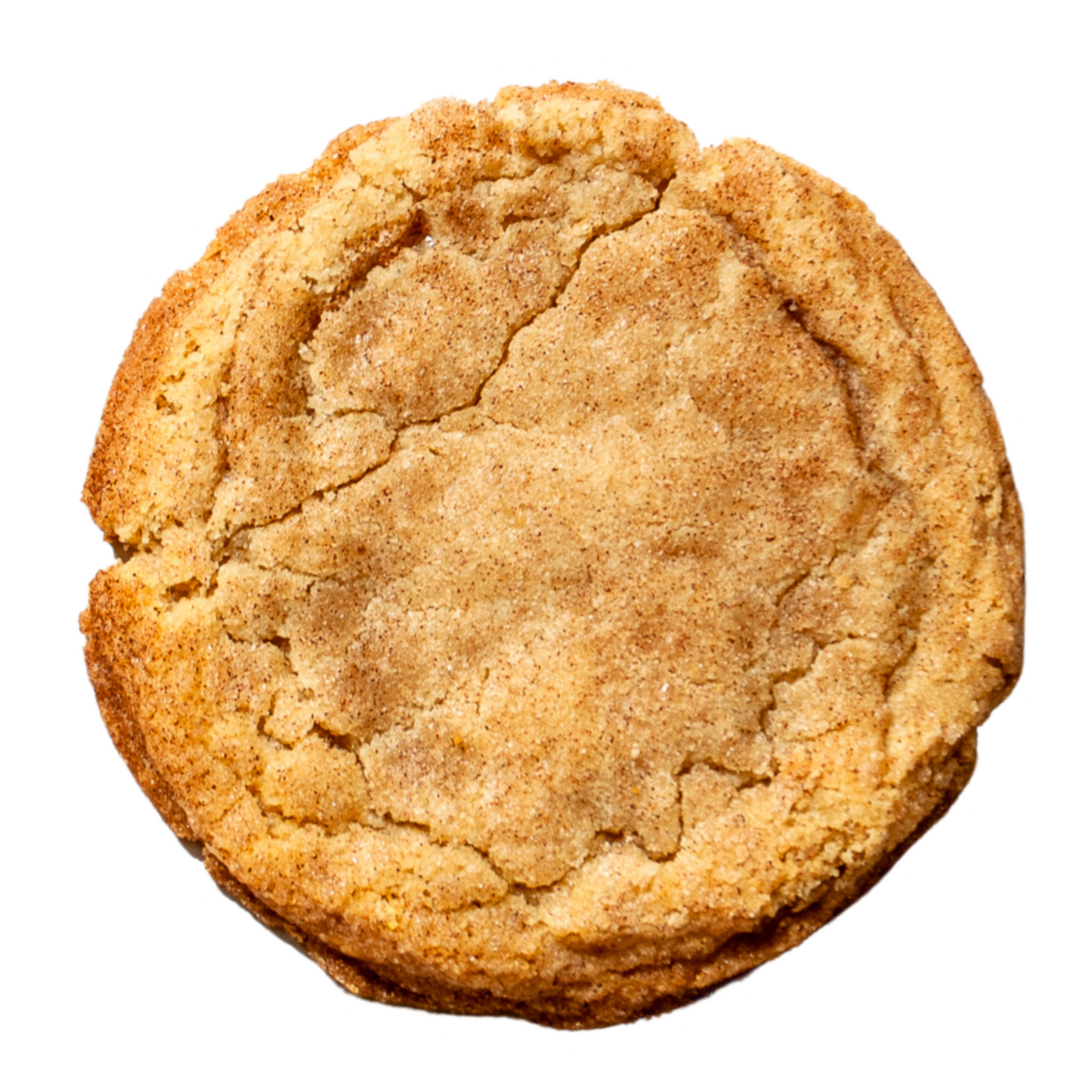 Snickerdoodle